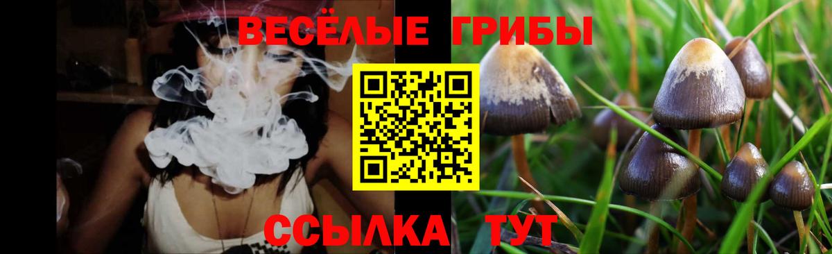 Псилоцибиновые грибы мухоморы Рассказово